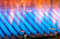 Gramasdail gas fired boilers